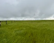 Calderbank-127.jpeg