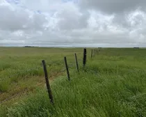 Calderbank-128.jpeg