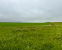 Calderbank-13.jpeg