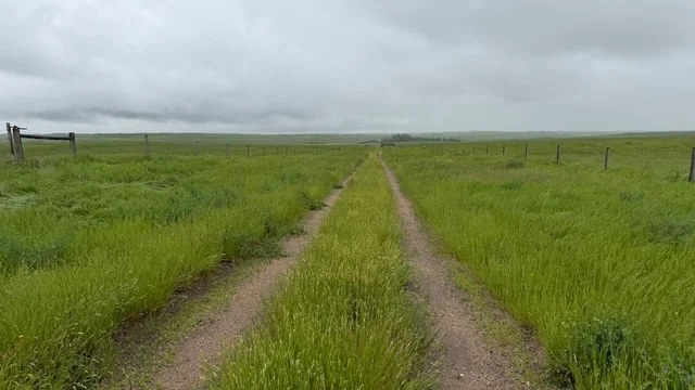 Calderbank-130.jpeg