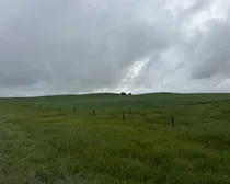 Calderbank-135.jpeg