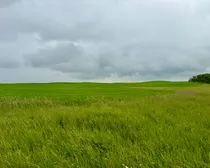 Calderbank-146.jpeg