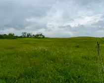 Calderbank-147.jpeg