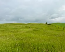 Calderbank-148.jpeg