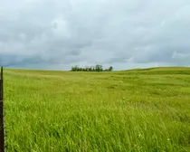 Calderbank-149.jpeg