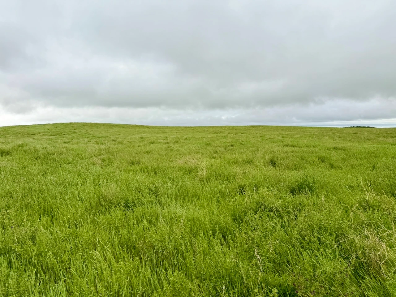 Calderbank-15.jpeg