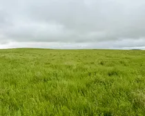 Calderbank-15.jpeg