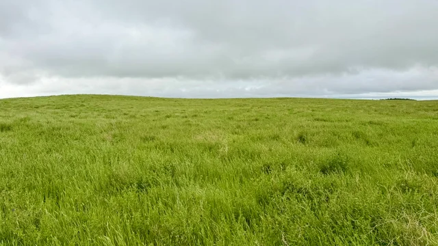 Calderbank-15.jpeg