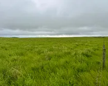 Calderbank-16.jpeg
