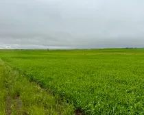 Calderbank-17.jpeg