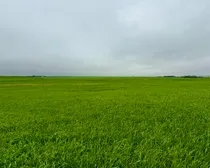 Calderbank-18.jpeg