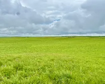 Calderbank-183.jpeg