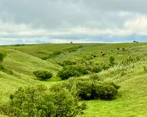 Calderbank-186.jpeg