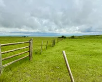 Calderbank-189.jpeg