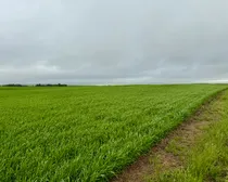 Calderbank-19.jpeg