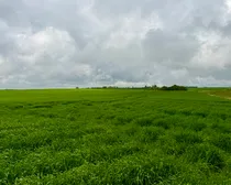 Calderbank-194.jpeg