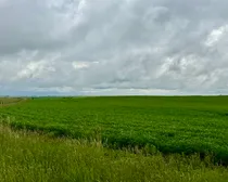 Calderbank-200.jpeg