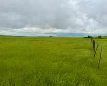 Calderbank-201.jpeg