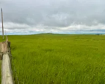 Calderbank-202.jpeg