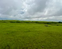 Calderbank-204.jpeg