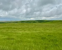 Calderbank-207.jpeg