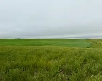 Calderbank-24.jpeg