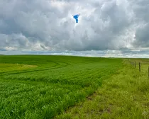 Calderbank-240.jpeg