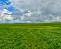 Calderbank-241.jpeg