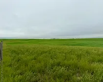 Calderbank-25.jpeg