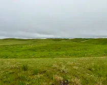 Calderbank-31.jpeg