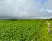 Calderbank-54.jpeg