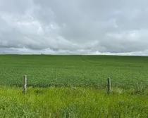 Calderbank-58.jpeg