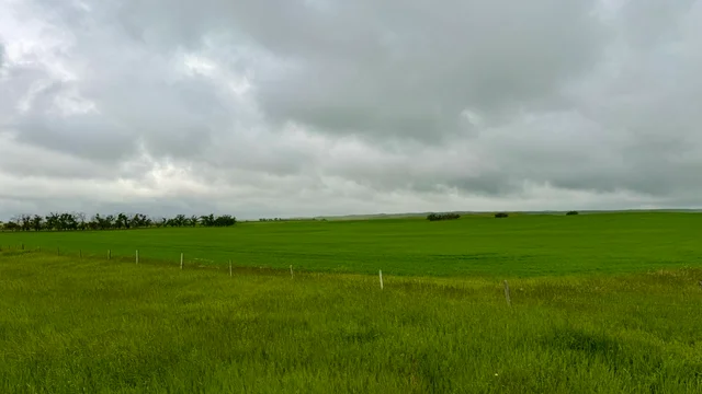 Calderbank-GlennKerrLeadPhoto.jpeg