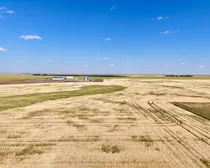 CropCorp-60.jpeg