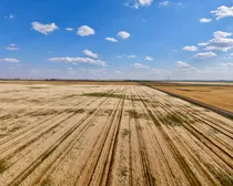 CropCorp-61.jpeg