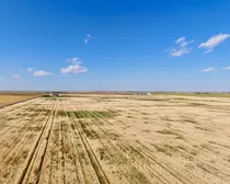 CropCorp-62.jpeg