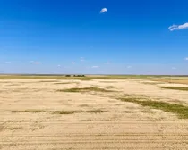 CropCorp-63.jpeg
