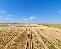 CropCorp-64.jpeg