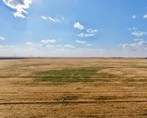 CropCorp-65.jpeg