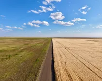 CropCorp-66.jpeg