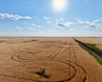CropCorp-67.jpeg