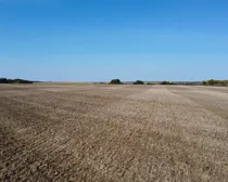 DJI_0116.JPG
