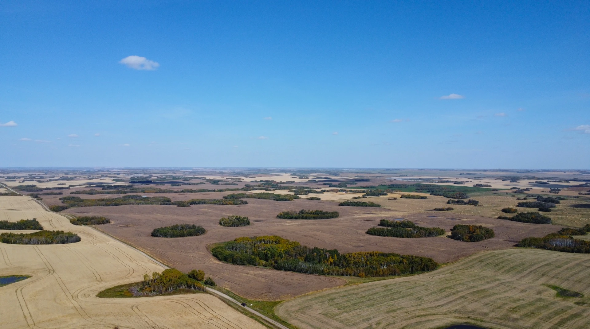 DJI_0118.JPG