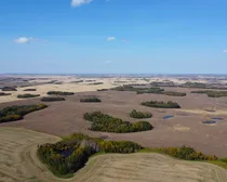 DJI_0120.JPG