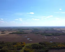 DJI_0122.JPG