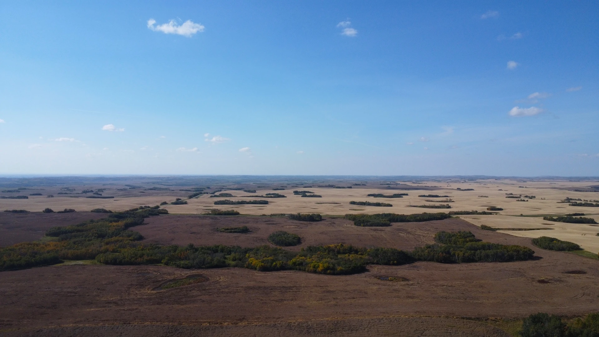 DJI_0125.JPG