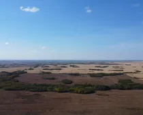 DJI_0125.JPG