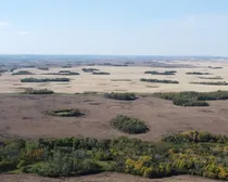 DJI_0126.JPG
