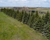 DJI_0488-2.JPG