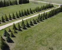 DJI_0496.JPG